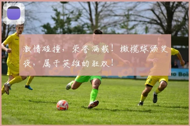 激情碰撞，荣誉满载！橄榄球颁奖夜，属于英雄的狂欢！