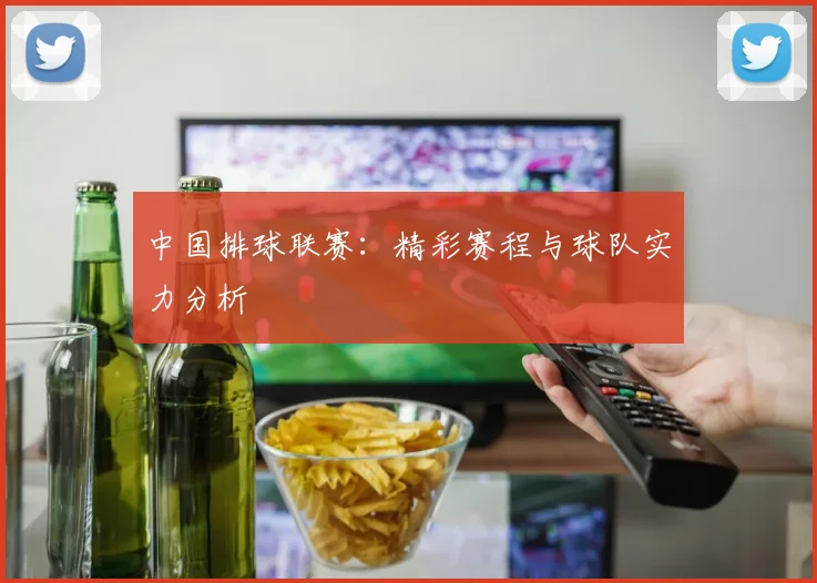 中国排球联赛：精彩赛程与球队实力分析